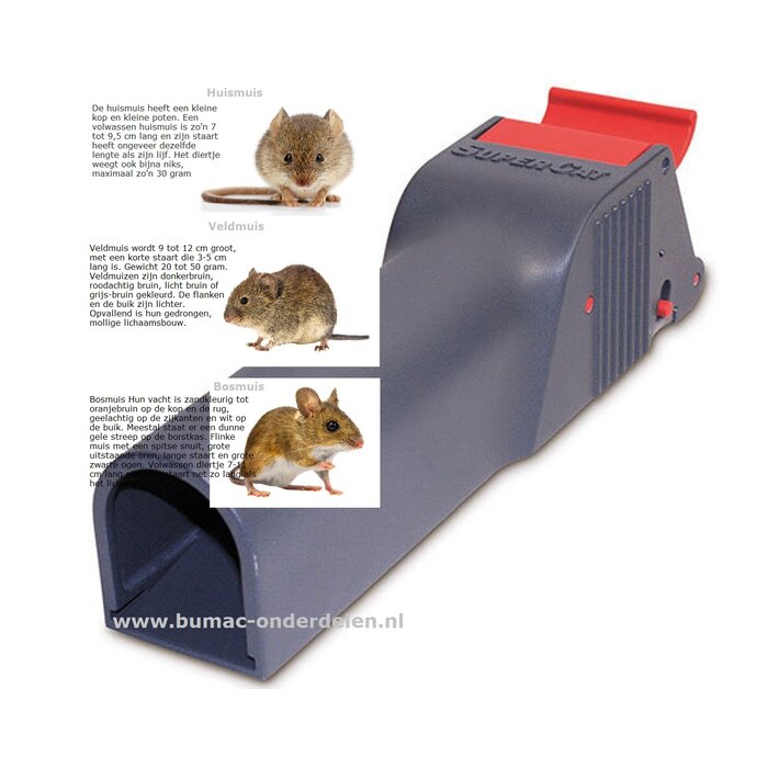 No See No Touch Muizenval,  Een Val die U het zicht op de gevangen en gedode muis bespaart en ook contact tijdens het weggooien vermijdt. Gebruiksklaar inclusief aas, Vangproces niet zichtbaar, Hygiënisch en veilig, geen huidcontact met het dier, Discrete