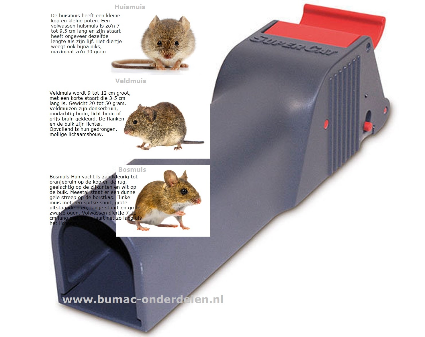 No See No Touch Muizenval,  Een Val die U het zicht op de gevangen en gedode muis bespaart en ook contact tijdens het weggooien vermijdt. Gebruiksklaar inclusief aas, Vangproces niet zichtbaar, Hygiënisch en veilig, geen huidcontact met het dier, Discrete