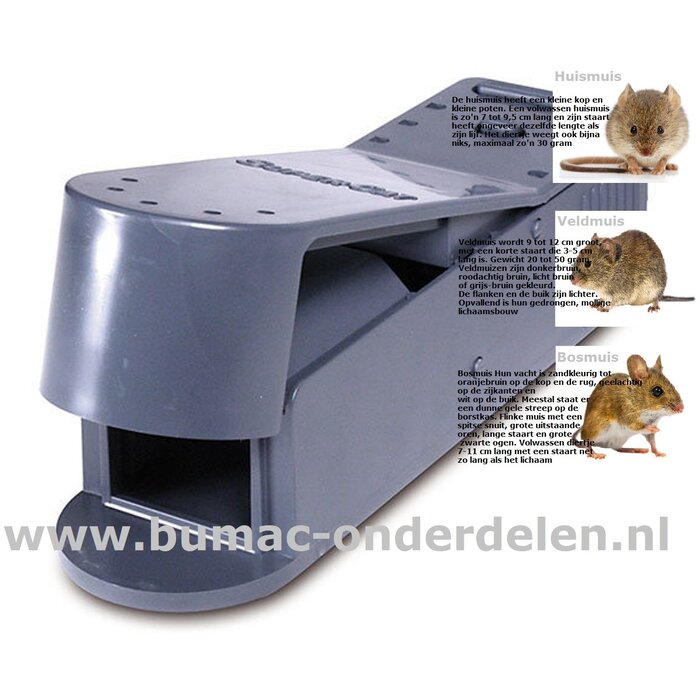 Catch Alive-Val voor levend vangen Snelle, soortspecifieke vangst Vangproces niet zichtbaar Effectief Hoog vangstpercentage Hygiënisch, herbruikbaar Dieren kunnen worden verwijderd zonder deze aan te raken, discreet Geschikt voor binnen en buiten Muizenva