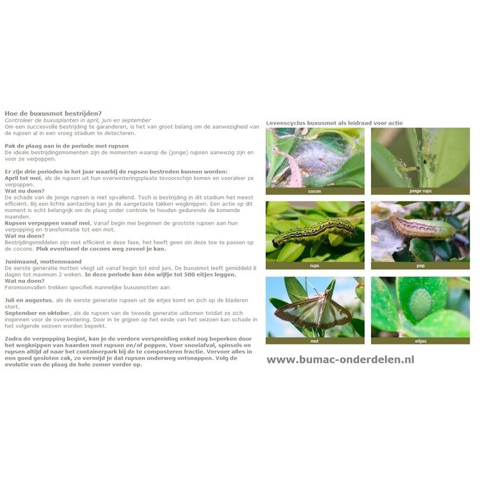 Buxusvlinderval, De dode mottencontainer is transparant waardoor inspectie van de 'vangst' eenvoudig is. Heeft een oppervlakte van 200 m2 (= een cirkel met een straal van 8 meter). De langdurige feromooncapsule is 3 maanden effectief. Het seksuele feromoo
