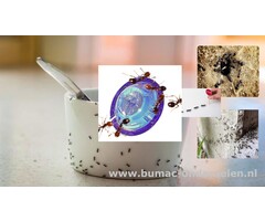 Mierenlokdoos per 2 stuks voor gebruik Binnenshuis en Buitenshuis ter bestrijding van Mieren De Mieren Pushbox is met 1x indrukken klaar voor gebruik, middel werkt tot 3 maanden, bestrijdt het hele nest