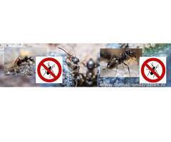 Mierenpoeder, Solabiol Natria (Bayer) Mierenpoeder bestrijdt snel en effectief mieren in en rondom het huis. Het poeder verstoort het orientatiëvermogen van de mieren, waardoor de mieren de weg naar het nest niet meer terugvinden en dood gaan Mierenpoeder