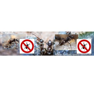 Mierenpoeder, Solabiol Natria (Bayer) Mierenpoeder bestrijdt snel en effectief mieren in en rondom het huis. Het poeder verstoort het orientatiëvermogen van de mieren, waardoor de mieren de weg naar het nest niet meer terugvinden en dood gaan Mierenpoeder