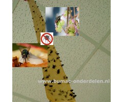 Vliegenstrip 4 stuks  in de verpakking zitten, zodat u ze op meerdere plekken kunt ophangen middels de meegeleverde punaises.  Vliegen met een plakstrook te vangen. De vliegenvangers zijn gifvrij en reukloos