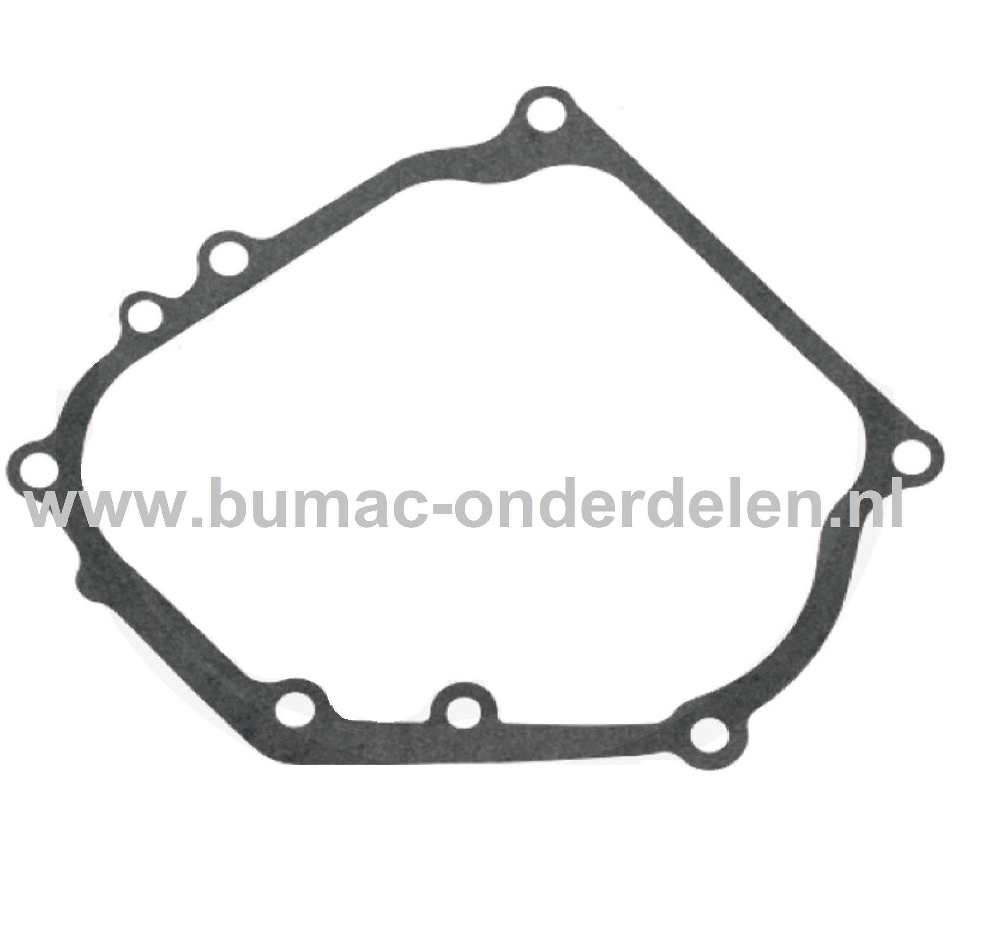 Carterpakking voor LONCING 160F, G200FD, LC168F-1, LC168F-2, LC168F-2H voor Motor op Grasmaaiers, Trilplaten, Generatoren, Kooimaaiers, Houtversnipperaar, Waterpompen, Compressoren, Bladblazers, Verticuteermachines, Veegmachines, Kantensnijders