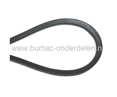 Aandrijfriem onder andere voor Maaidekaandrijving bij Murray Zitmaaier, Tuintrekker modellen met 38 inch Maaibreedte