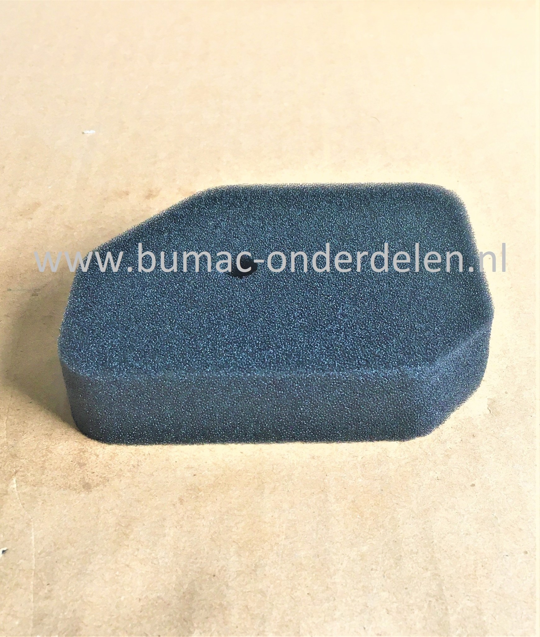 Luchtfilter voor Honda Motoren met Horizontale Krukas op Aggregaat, Waterpomp, Tuinfrees, Kantensnijder, G100, Schuimfilter, G 100