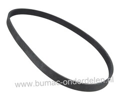 Ribriem voor Pilote 88, Lazer, Hutchinson Zweefmaaiers, Tuinfrezen, Aandrijfriem