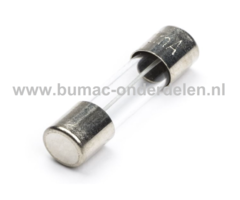 Glaszekering 3A x 20 mm ter bescherming van Electronica in Zitmaaier, Tractor, Auto, Aanhanger, Generator, Hijskraan, Shovel