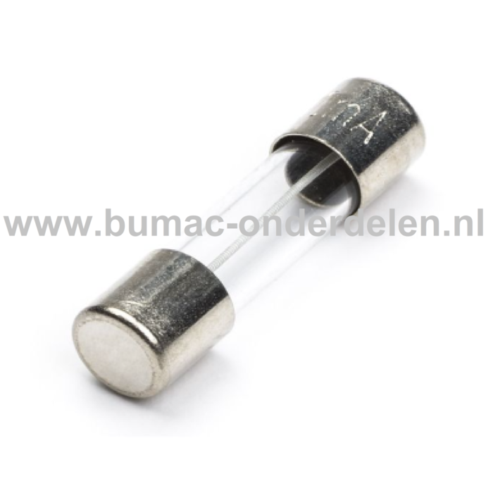 Glaszekering 4A x 20 mm ter bescherming van Electronica in Zitmaaier, Tractor, Auto, Aanhanger, Generator, Hijskraan, Shovel
