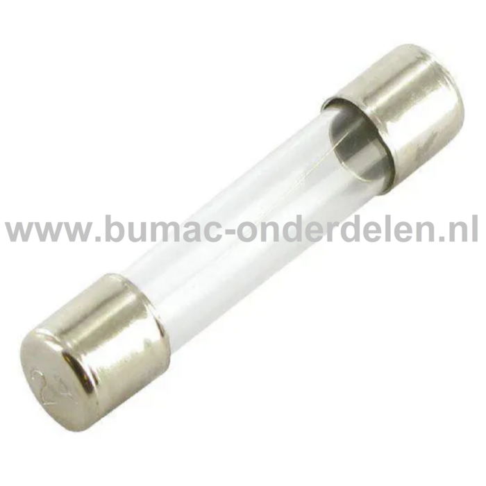Glaszekering 2A x 32 mm ter bescherming van Electronica in Zitmaaier, Tractor, Auto, Aanhanger, Generator, Hijskraan, Shovel