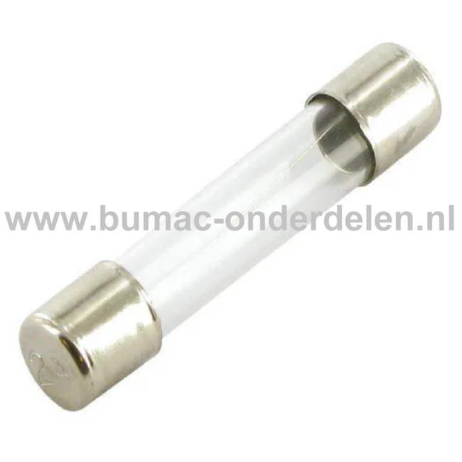 Glaszekering 10A x 32 mm ter bescherming van Electronica in Zitmaaier, Tractor, Auto, Aanhanger, Generator, Hijskraan, Shovel