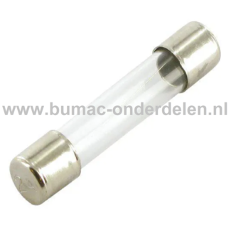 Glaszekering 25A x 32 mm ter bescherming van Electronica in Zitmaaier, Tractor, Auto, Aanhanger, Generator, Hijskraan, Shovel