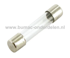 Glaszekering 30A x 32 mm ter bescherming van Electronica in Zitmaaier, Tractor, Auto, Aanhanger, Generator, Hijskraan, Shovel