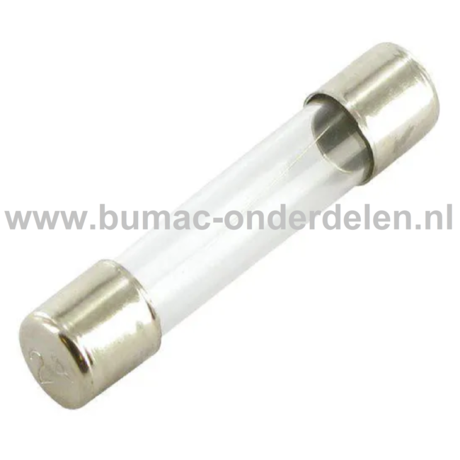 Glaszekering 30A x 32 mm ter bescherming van Electronica in Zitmaaier, Tractor, Auto, Aanhanger, Generator, Hijskraan, Shovel