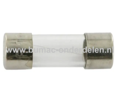 Glaszekering 100mAF x 20 mm ter bescherming van Electronica in Zitmaaier, Tractor, Auto, Aanhanger, Generator, Hijskraan, Shovel