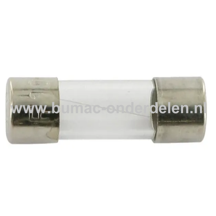Glaszekering 200mAF x 20 mm ter bescherming van Electronica in Zitmaaier, Tractor, Auto, Aanhanger, Generator, Hijskraan, Shovel