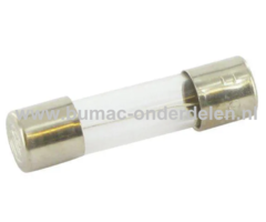 Glaszekering 8AF x 20 mm ter bescherming van Electronica in Zitmaaier, Tractor, Auto, Aanhanger, Generator, Hijskraan, Shovel