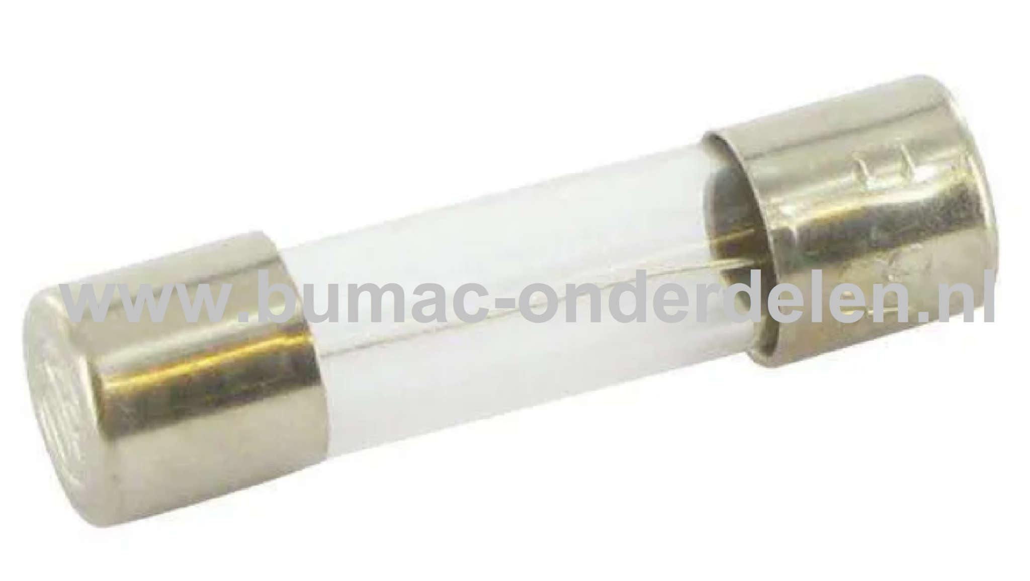 Glaszekering 1,6AF x 20 mm ter bescherming van Electronica in Zitmaaier, Tractor, Auto, Aanhanger, Generator, Hijskraan, Shovel