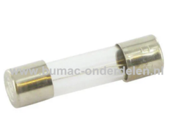 Glaszekering 1,25AF x 20 mm ter bescherming van Electronica in Zitmaaier, Tractor, Auto, Aanhanger, Generator, Hijskraan, Shovel