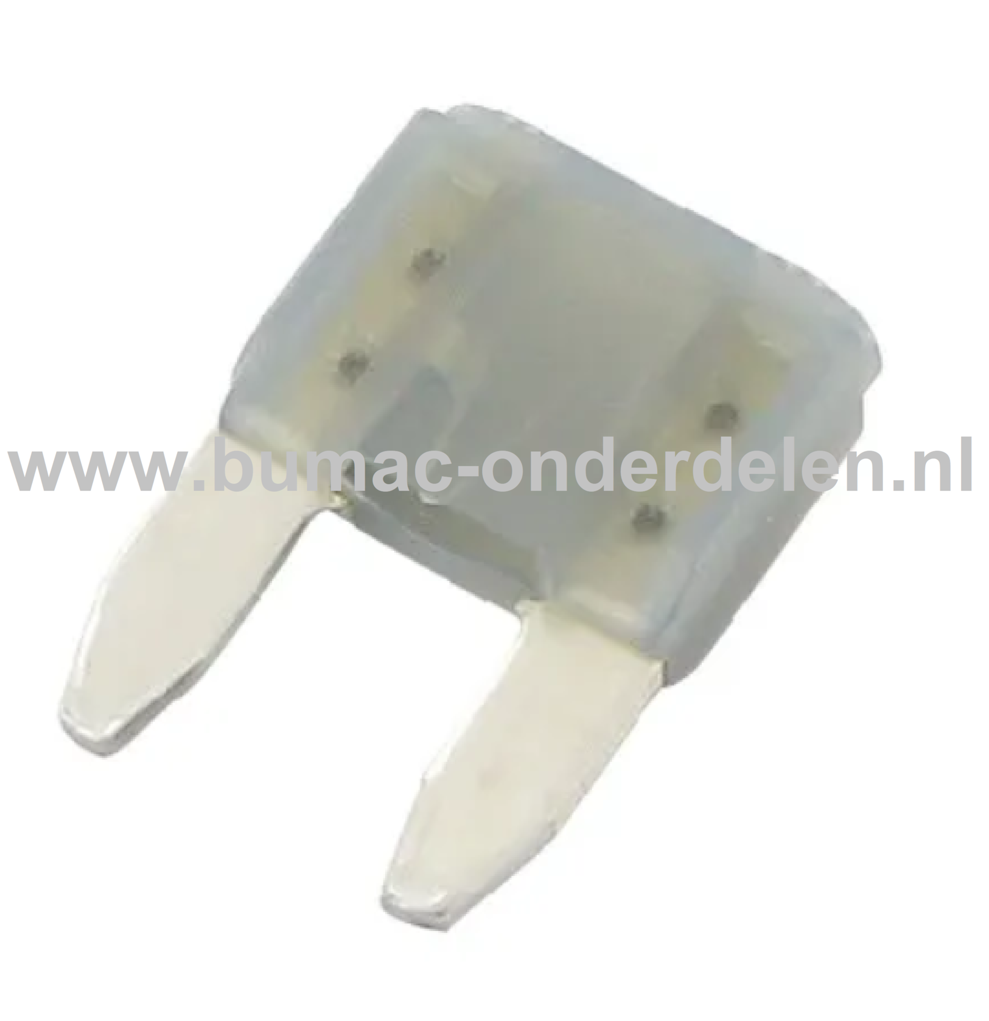 Steekzekering Mini 2A - 16,3x10,9 mm ter bescherming van Electronica in Zitmaaier, Tractor, Auto, Aanhanger, Generator, Hijskraan, Shovel