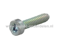 Torx bout 5x24 mm voor STIHL Kettingzagen, Motorzagen, Benzinezagen, Bladblazers, Blowers, Bosmaaiers, Trimmers, Motorzeisen, Bandenzaag Zelf Tap Schroef, Bout Torx, Uitlaatbout, Cilinderkopbout 021, 023, 025, 029, 039, MS180, MS193, MS210, MS390, BG56