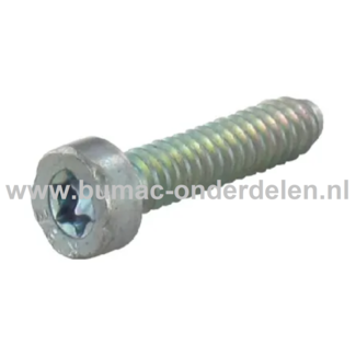 Torx bout 5x24 mm voor STIHL Kettingzagen, Motorzagen, Benzinezagen, Bladblazers, Blowers, Bosmaaiers, Trimmers, Motorzeisen, Bandenzaag Zelf Tap Schroef, Bout Torx, Uitlaatbout, Cilinderkopbout 021, 023, 025, 029, 039, MS180, MS193, MS210, MS390, BG56