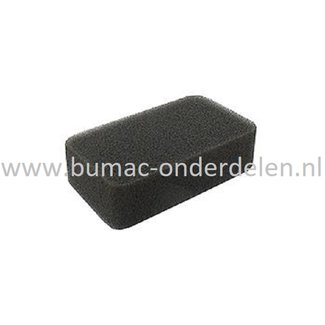 Luchtfilter voor MITSUBISHI MG2900, GM231 op Verticuteermachines, Hakselaars, Filter, Schuimfilter