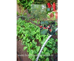 Tuinnet 2x 5 Mtr Maaswijdte 10 x 10 mm Materiaal UV gestabiliseerd polyethyleen, monofilament, dubbelstrengs, Gewicht: ca. 6.5 g/m² ,Maaswijdte: 10 x 10 mm, diagonaal, Kleur: Groen  Tuinnet, 2x5m Lichtgewicht, breedmazig en dubbelstrengs tuinnetten voor v