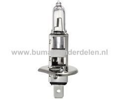 Halogeenlamp 12V-55W Fitting PX14.5s Vermogen 55 Watt Type H1 ECE-Norm E13 Lamp voor Koplamp Verlichting Auto, Trekker, Aanhanger, Shovel, Hijskraan, Verlichtingsbalk