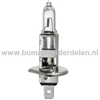 Halogeenlamp 12V-55W Fitting PX14.5s Vermogen 55 Watt Type H1 ECE-Norm E13 Lamp voor Koplamp Verlichting Auto, Trekker, Aanhanger, Shovel, Hijskraan, Verlichtingsbalk