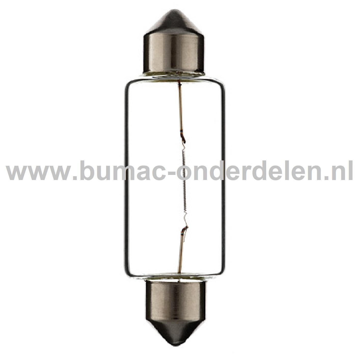 Buislamp 12V-18W Fitting SV8.5 Vermogen 18 Watt Type C18W Lamp voor Knipperlicht, Remlicht, Mistachterlicht, Achteruitrijverlichting, Verlichting Auto, Trekker, Aanhanger, Shovel, Hijskraan, Verlichtingsbalk