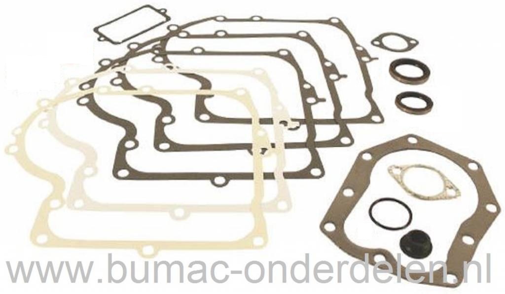 Pakkingset voor Briggs & Stratton IC Motoren 10 - 10,5 - 11,5 - 12,5 - 13 PK op Zitmaaiers - Frontmaaiers, B&S Pakkingen Set, B en S Dichtingen voor Motoren met Verticale Krukas van Briggs and Stratton, Stiga, MTD, Wolf, CastelGarden, Husqvarna, Jonsered,