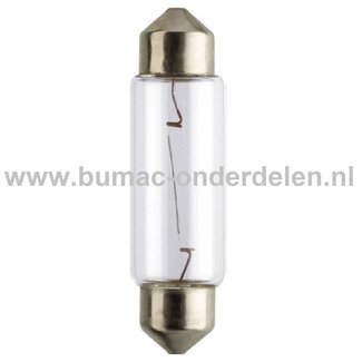 Buislamp 12V-10W Fitting SV8.5 Vermogen 10 Watt Type C10W Lamp voor Knipperlicht, Remlicht, Mistachterlicht, Achteruitrijverlichting, Verlichting Auto, Trekker, Aanhanger, Shovel, Hijskraan, Verlichtingsbalk