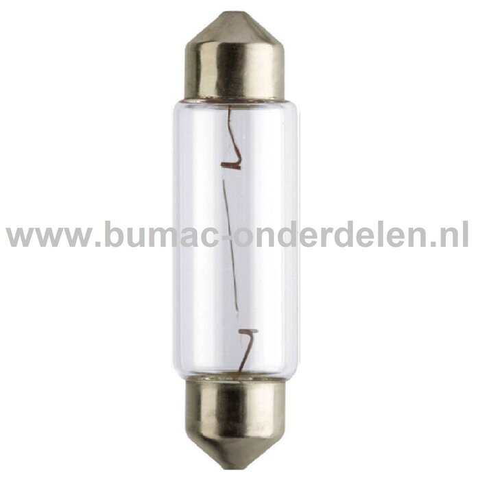 Buislamp 12V-10W Fitting SV8.5 Vermogen 10 Watt Type C10W Lamp voor Knipperlicht, Remlicht, Mistachterlicht, Achteruitrijverlichting, Verlichting Auto, Trekker, Aanhanger, Shovel, Hijskraan, Verlichtingsbalk