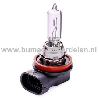 Halogeenlamp 12V-65W Fitting PGJ19-5 Vermogen 65 Watt Type H9 ECE-Norm E13 Lamp voor Koplamp Verlichting Auto, Trekker, Aanhanger, Shovel, Hijskraan, Verlichtingsbalk