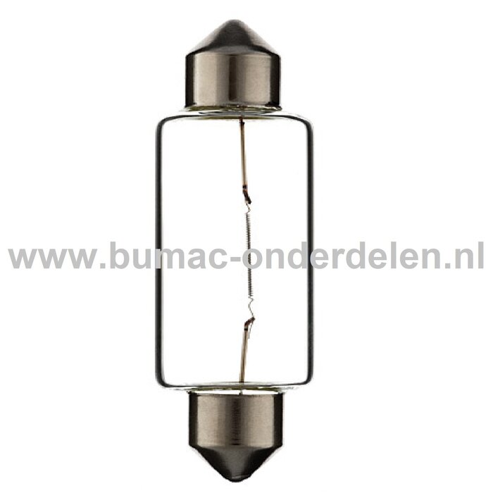Buislamp 12V-15W Fitting SV8.5 Vermogen 15 Watt Type C5W Lamp voor Knipperlicht, Remlicht, Mistachterlicht, Achteruitrijverlichting, Verlichting Auto, Trekker, Aanhanger, Shovel, Hijskraan, Verlichtingsbalk