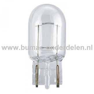 Steeklamp 12V-21W Fitting W2.1x9.5d Vermogen 21 Watt Type W21W Gloeilamp voor Knipperlicht, Remlicht, Mistachterlicht, Achteruitrijverlichting, Verlichting Auto, Trekker, Aanhanger, Shovel, Hijskraan, Verlichtingsbalk