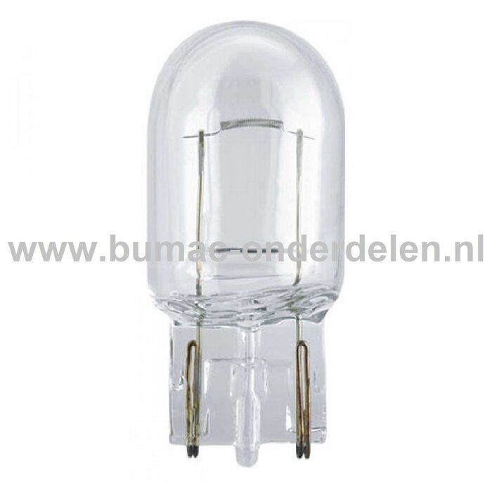Steeklamp 12V-21W Fitting W2.1x9.5d Vermogen 21 Watt Type W21W Gloeilamp voor Knipperlicht, Remlicht, Mistachterlicht, Achteruitrijverlichting, Verlichting Auto, Trekker, Aanhanger, Shovel, Hijskraan, Verlichtingsbalk
