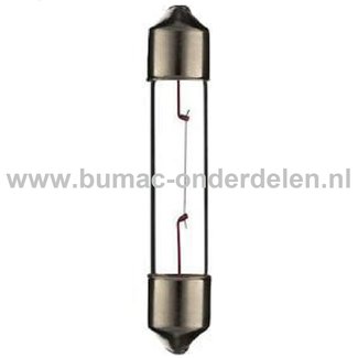 Buislamp 12V-3W Fitting SV6 Vermogen 3 Watt Type T6.2x35 Lamp voor Knipperlicht, Remlicht, Mistachterlicht, Achteruitrijverlichting, Verlichting Auto, Trekker, Aanhanger, Shovel, Hijskraan, Verlichtingsbalk