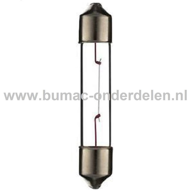 Buislamp 12V-3W Fitting SV6 Vermogen 3 Watt Type T6.2x35 Lamp voor Knipperlicht, Remlicht, Mistachterlicht, Achteruitrijverlichting, Verlichting Auto, Trekker, Aanhanger, Shovel, Hijskraan, Verlichtingsbalk