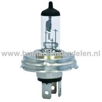 Halogeenlamp 12V-40/45W Fitting P45t Vermogen 40/45 Watt Type H4 ECE-Norm E13 271 Lamp voor Koplamp Verlichting Auto, Trekker, Aanhanger, Shovel, Hijskraan, Verlichtingsbalk