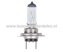 Halogeenlamp 12V-55W Fitting PX26d Vermogen 55 Watt Type H7 Lamp voor Koplamp Verlichting Auto, Trekker, Aanhanger, Shovel, Hijskraan, Verlichtingsbalk