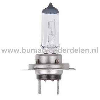 Halogeenlamp 12V-55W Fitting PX26d Vermogen 55 Watt Type H7 Lamp voor Koplamp Verlichting Auto, Trekker, Aanhanger, Shovel, Hijskraan, Verlichtingsbalk