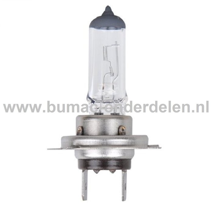 Halogeenlamp 12V-55W Fitting PX26d Vermogen 55 Watt Type H7 Lamp voor Koplamp Verlichting Auto, Trekker, Aanhanger, Shovel, Hijskraan, Verlichtingsbalk