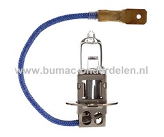 Halogeenlamp 12V-100W Fitting PK22s Vermogen 100 Watt Type H3 Lamp voor Koplamp Verlichting Auto, Trekker, Aanhanger, Shovel, Hijskraan, Verlichtingsbalk