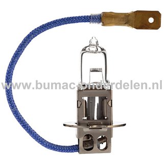 Halogeenlamp 12V-100W Fitting PK22s Vermogen 100 Watt Type H3 Lamp voor Koplamp Verlichting Auto, Trekker, Aanhanger, Shovel, Hijskraan, Verlichtingsbalk