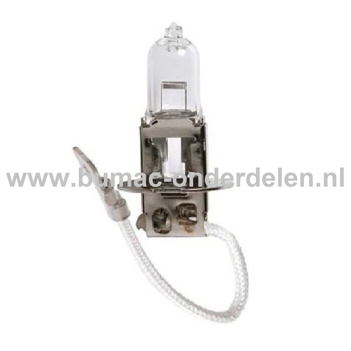 Halogeenlamp 24V-70W Fitting PK22s Vermogen 70 Watt Type H3 Lamp voor Koplamp Verlichting Auto, Trekker, Aanhanger, Shovel, Hijskraan, Verlichtingsbalk
