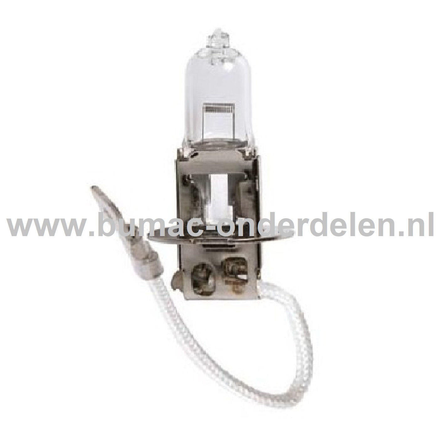 Halogeenlamp 24V-70W Fitting PK22s Vermogen 70 Watt Type H3 Lamp voor Koplamp Verlichting Auto, Trekker, Aanhanger, Shovel, Hijskraan, Verlichtingsbalk