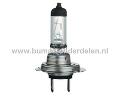Halogeenlamp 24V-70W Fitting PX26d Vermogen 70 Watt Type H7 Lamp voor Koplamp Verlichting Auto, Trekker, Aanhanger, Shovel, Hijskraan, Verlichtingsbalk